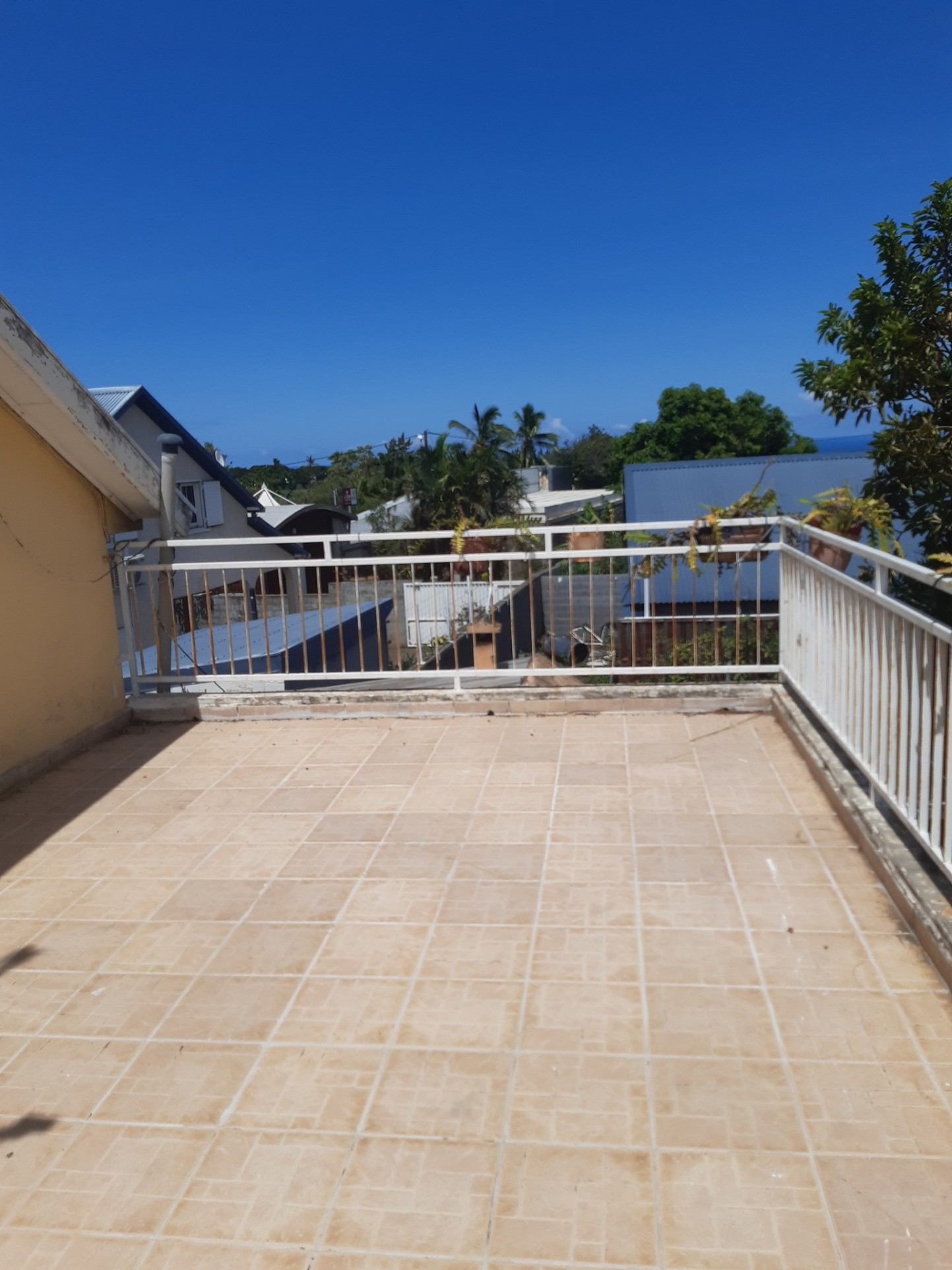 SAINT PIERRE / MAISON F5/6 SUR 835 M2 DE TERRAIN — photo 5