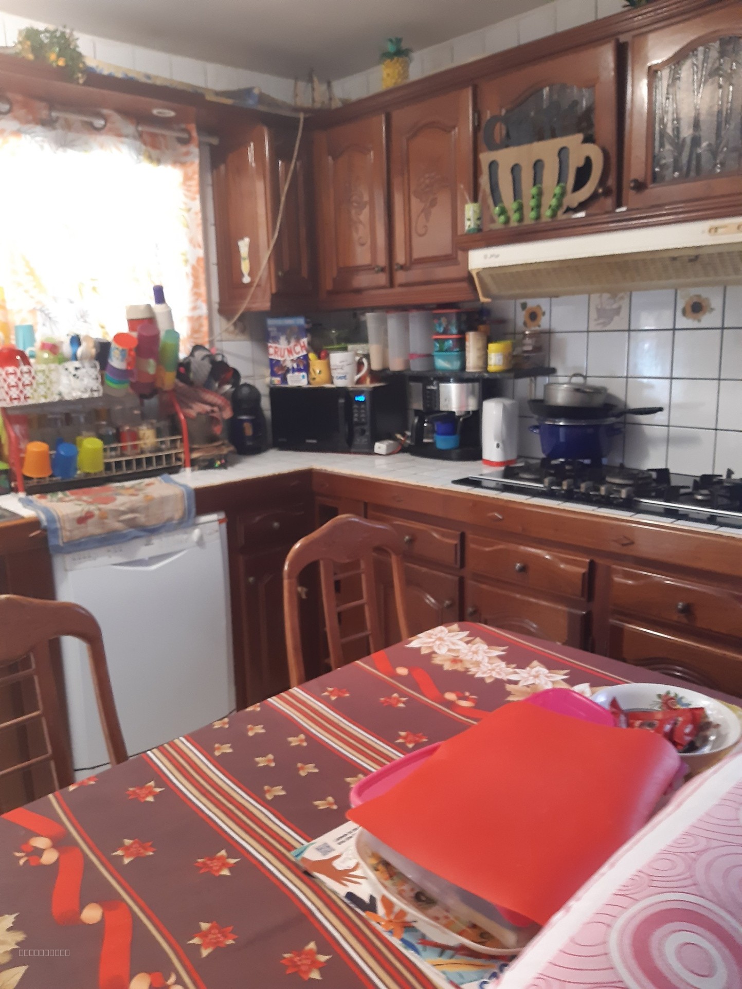 SAINT PIERRE / MAISON F5/6 SUR 835 M2 DE TERRAIN — photo 4