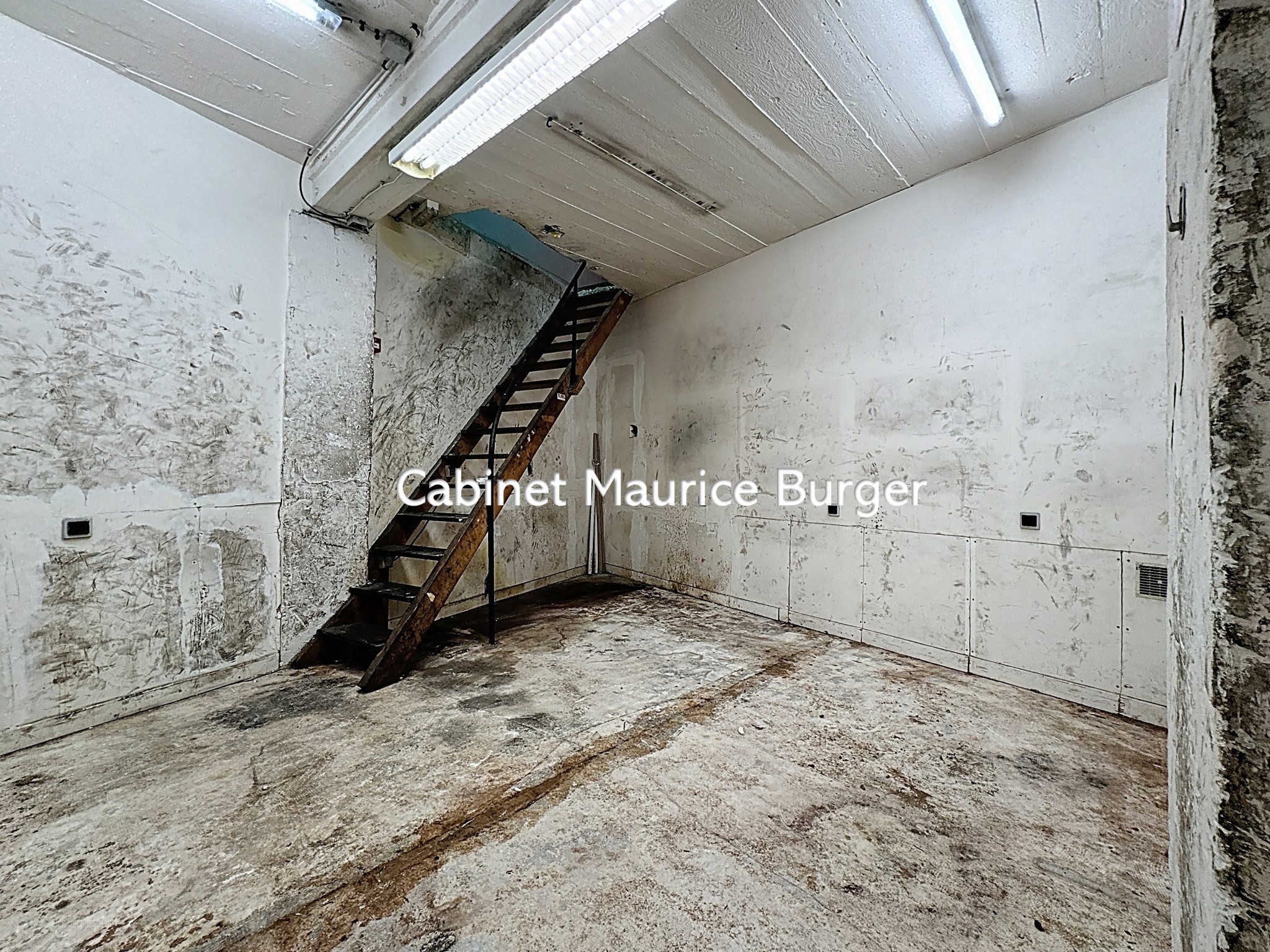 local commercial rue Lafayette — photo 10