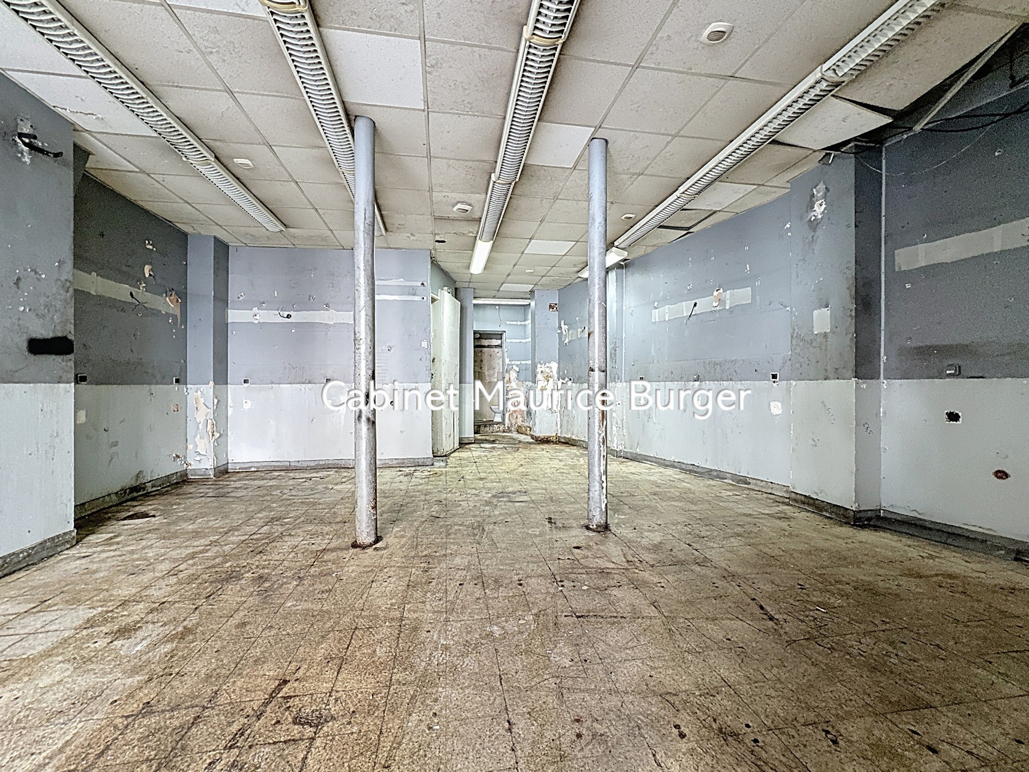 local commercial rue Lafayette — photo 3