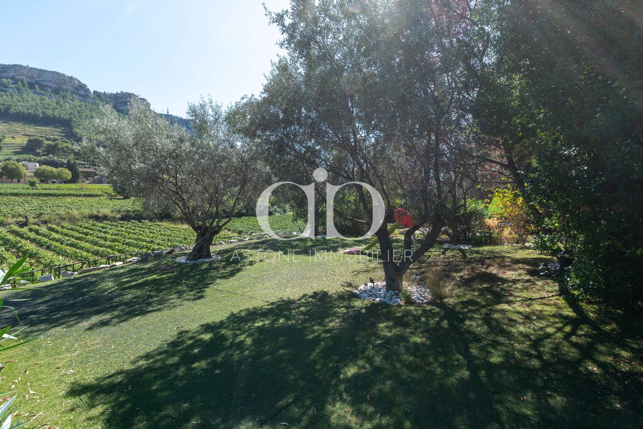 CASSIS / MAISON CONTEMPORAINE AU MILIEU DES VIGNES — photo 12