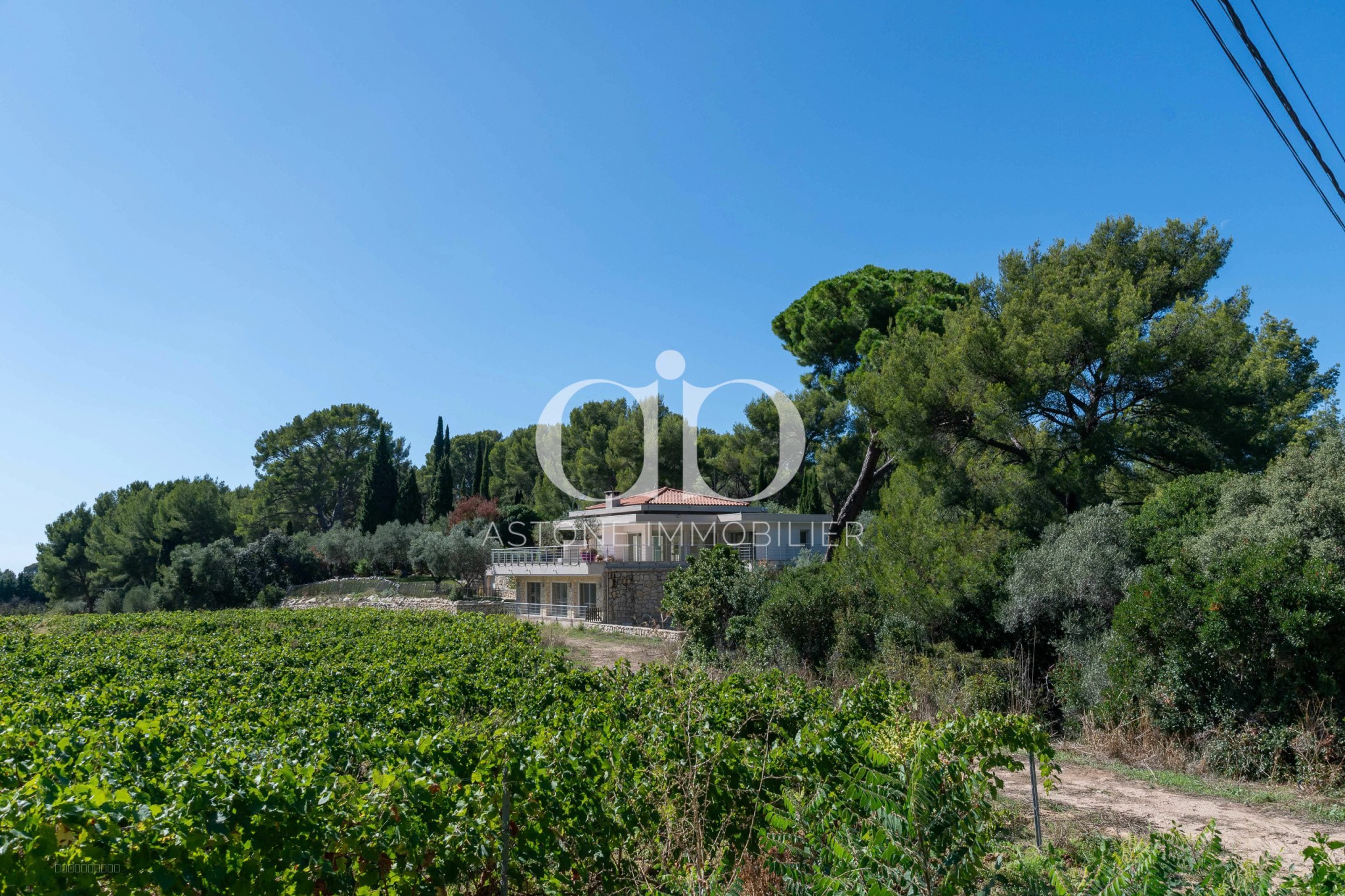 CASSIS / MAISON CONTEMPORAINE AU MILIEU DES VIGNES — photo 6