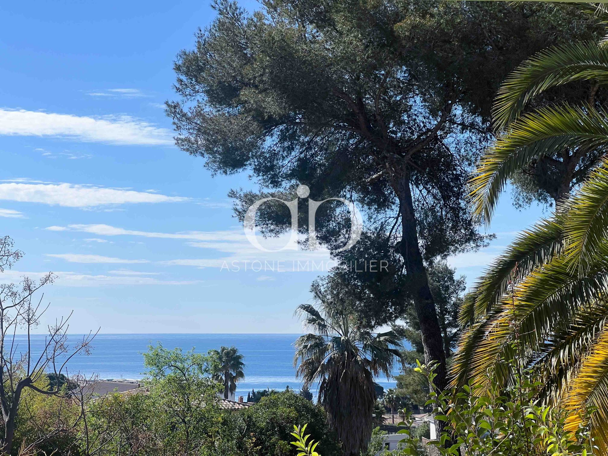 Bien immobilier à vendre à La ciotat, 532 m² – photo 3 sur 13