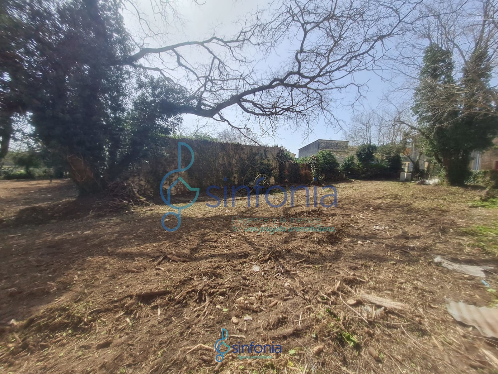 Grand Terrain constructible 2 000 M2 environ — photo 1