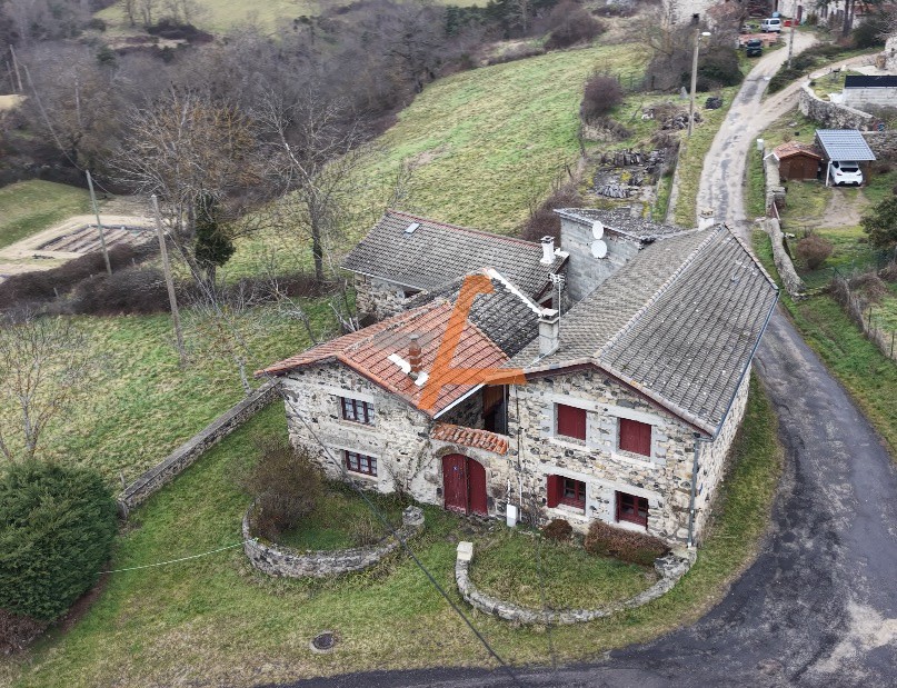 Bien immobilier à vendre à Vorey, 34 m², 6 pièces – photo 1 sur 17