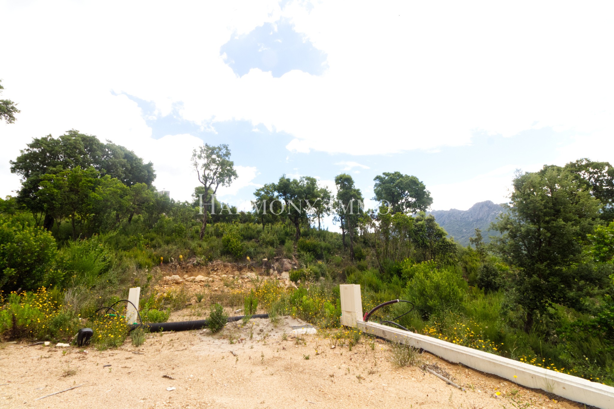 Terrain à vendre à Tavaco, 961 m² – photo 3 sur 5