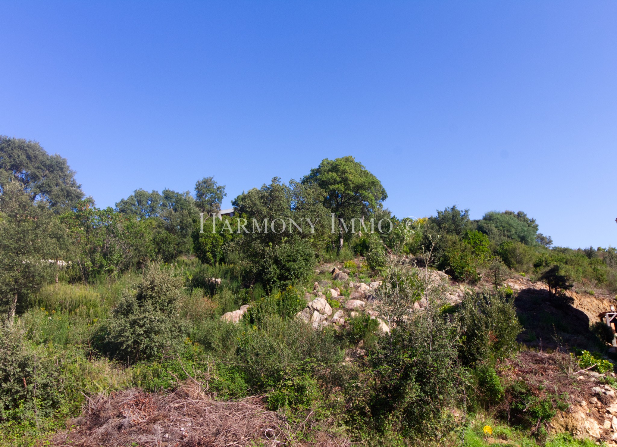 Terrain à vendre à Tavaco, 961 m² – photo 2 sur 5