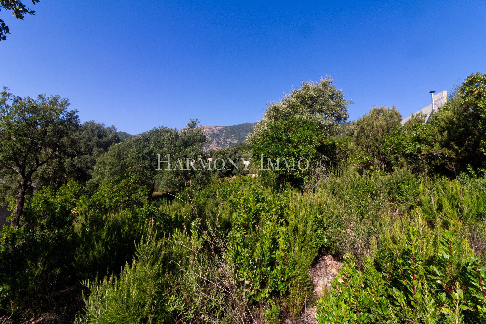 Terrain à vendre à Tavaco, 961 m² – photo 1 sur 5