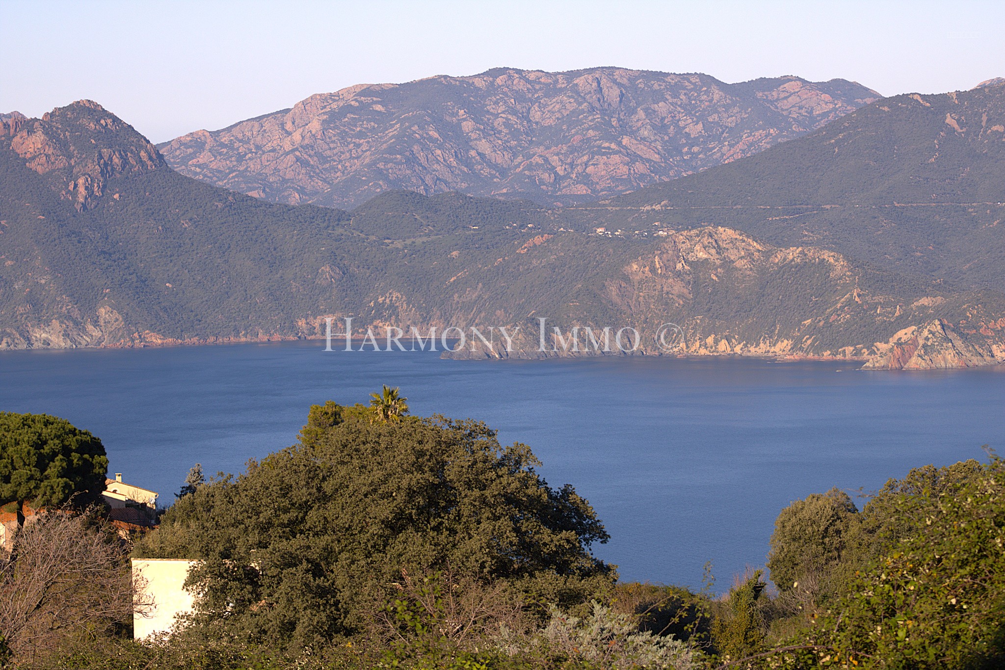 Terrain à vendre à Piana, 1 648 m² – photo 3 sur 5