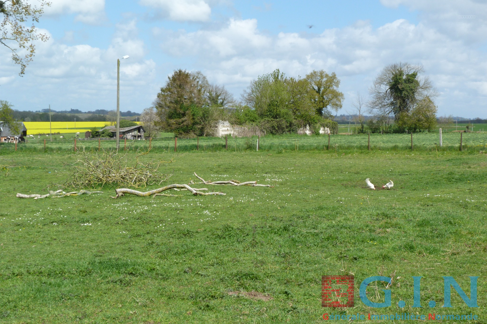 Bien immobilier à vendre à Ste marguerite sur duclair, 938 m² – photo 3 sur 3