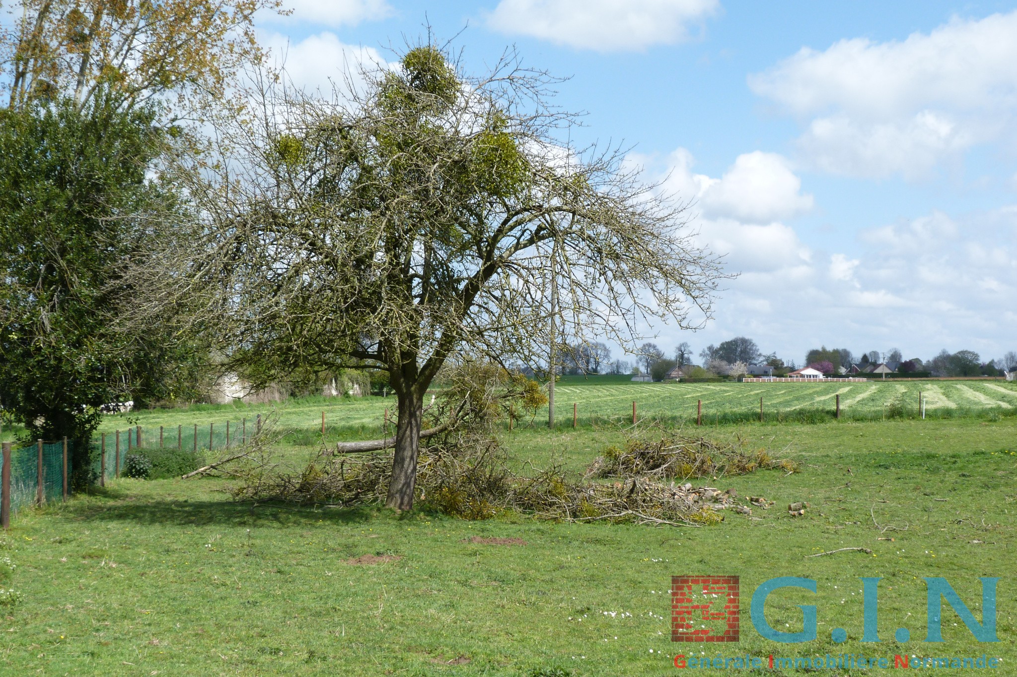 Bien immobilier à vendre à Duclair, 964 m² – photo 2 sur 4