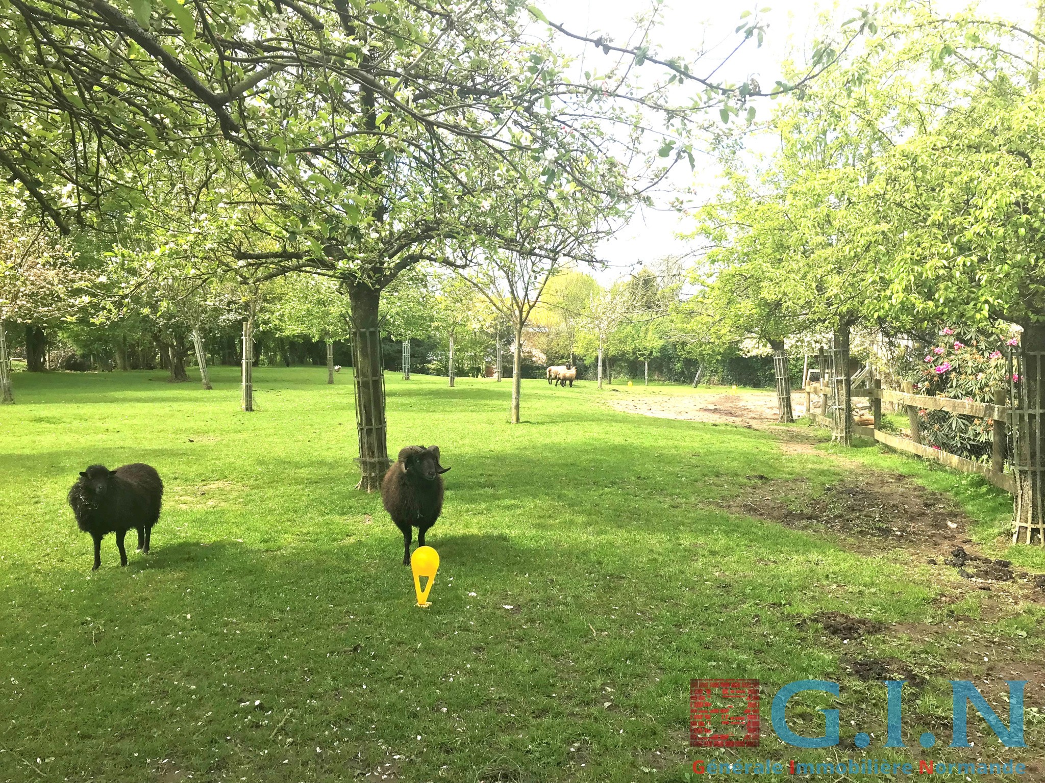 Bien immobilier à vendre à Le bocasse, 1 387 m² – photo 1 sur 3