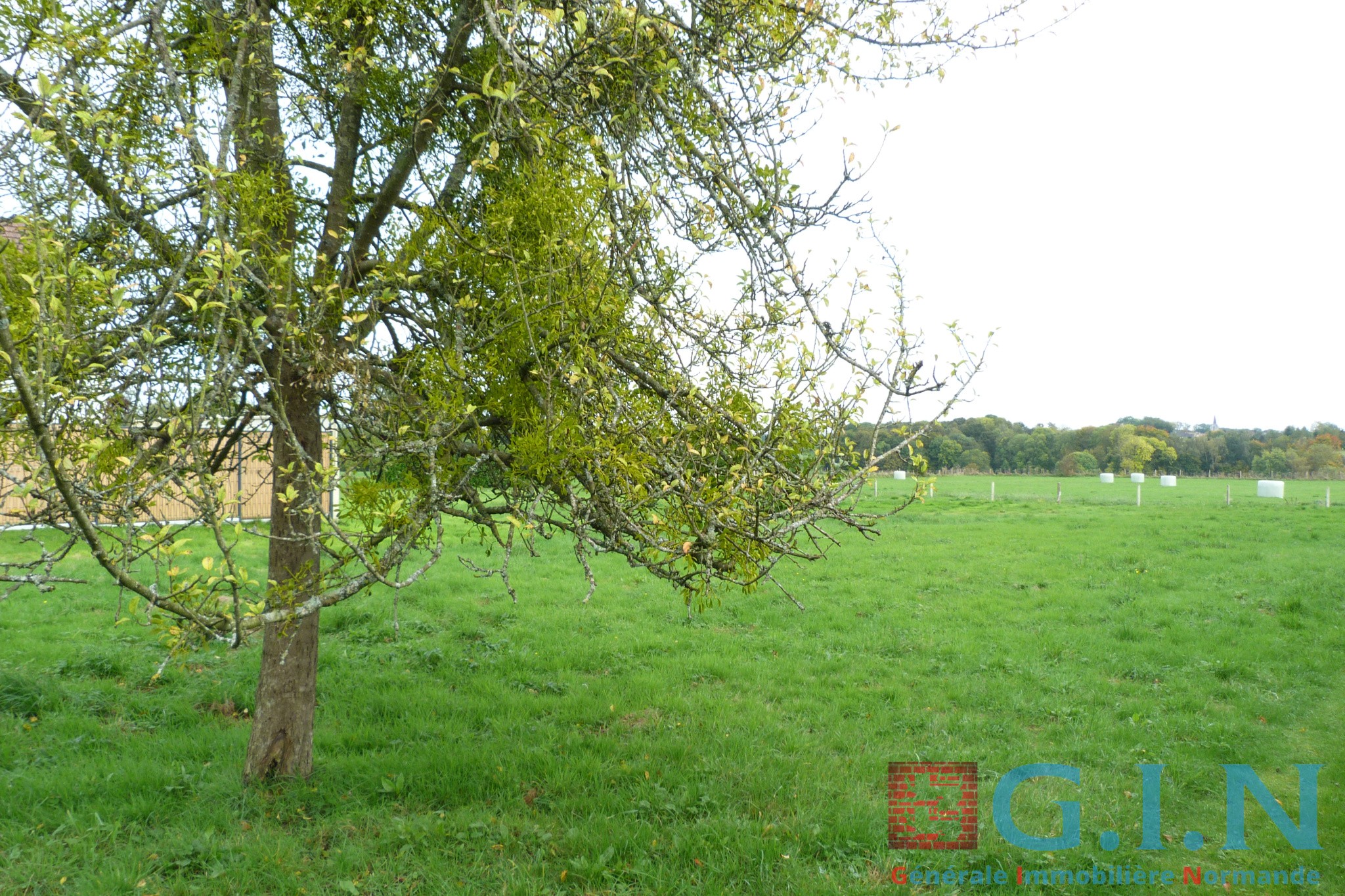 Bien immobilier à vendre à Duclair, 1 252 m² – photo 3 sur 5