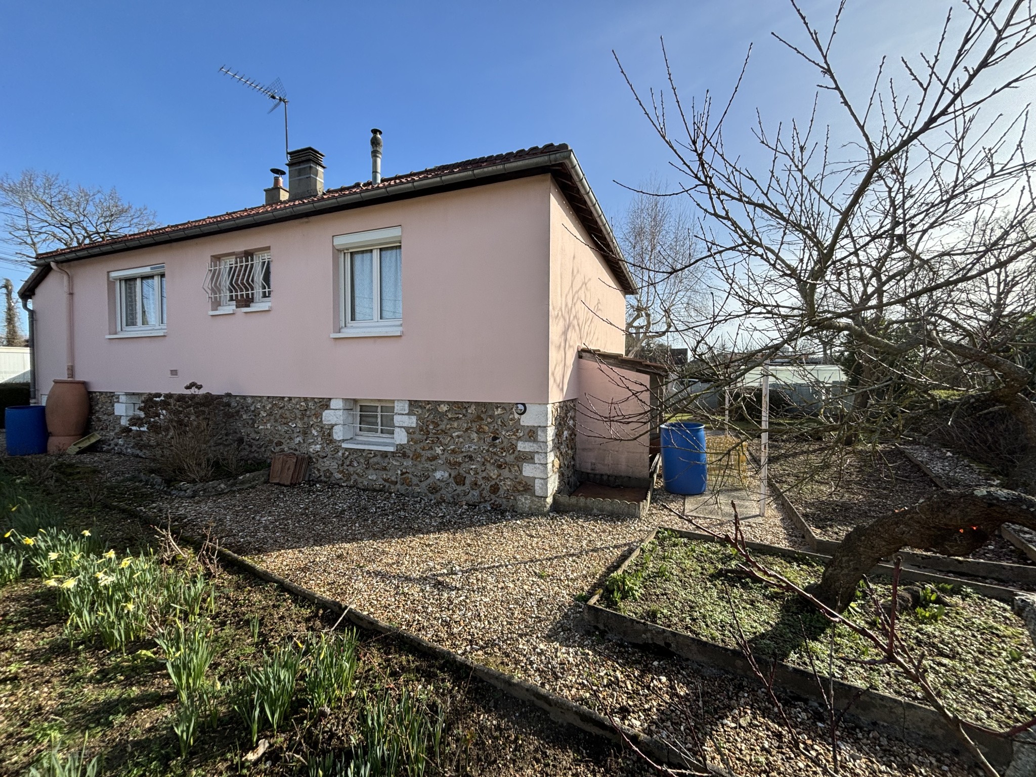 MAISON — photo 10