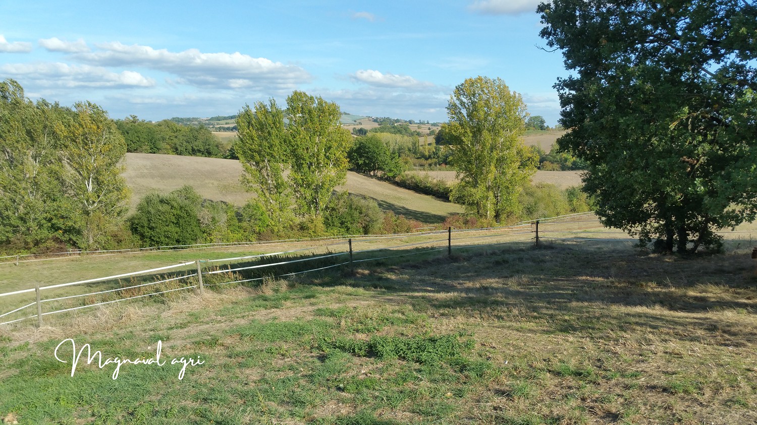 Domaine équestre ou agricole de 30 hectares en Occitanie — photo 11