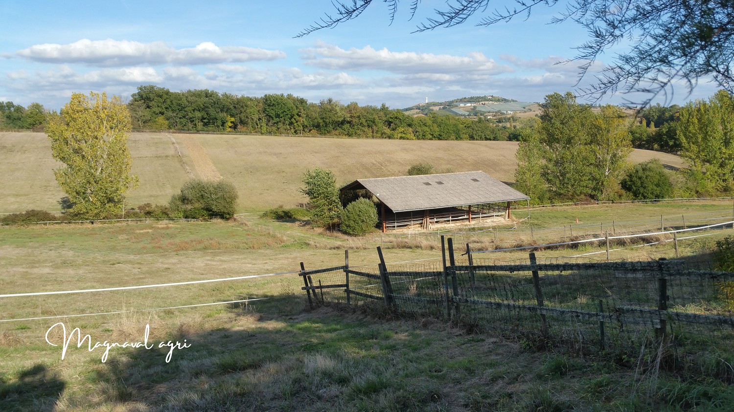 Domaine équestre ou agricole de 30 hectares en Occitanie — photo 10