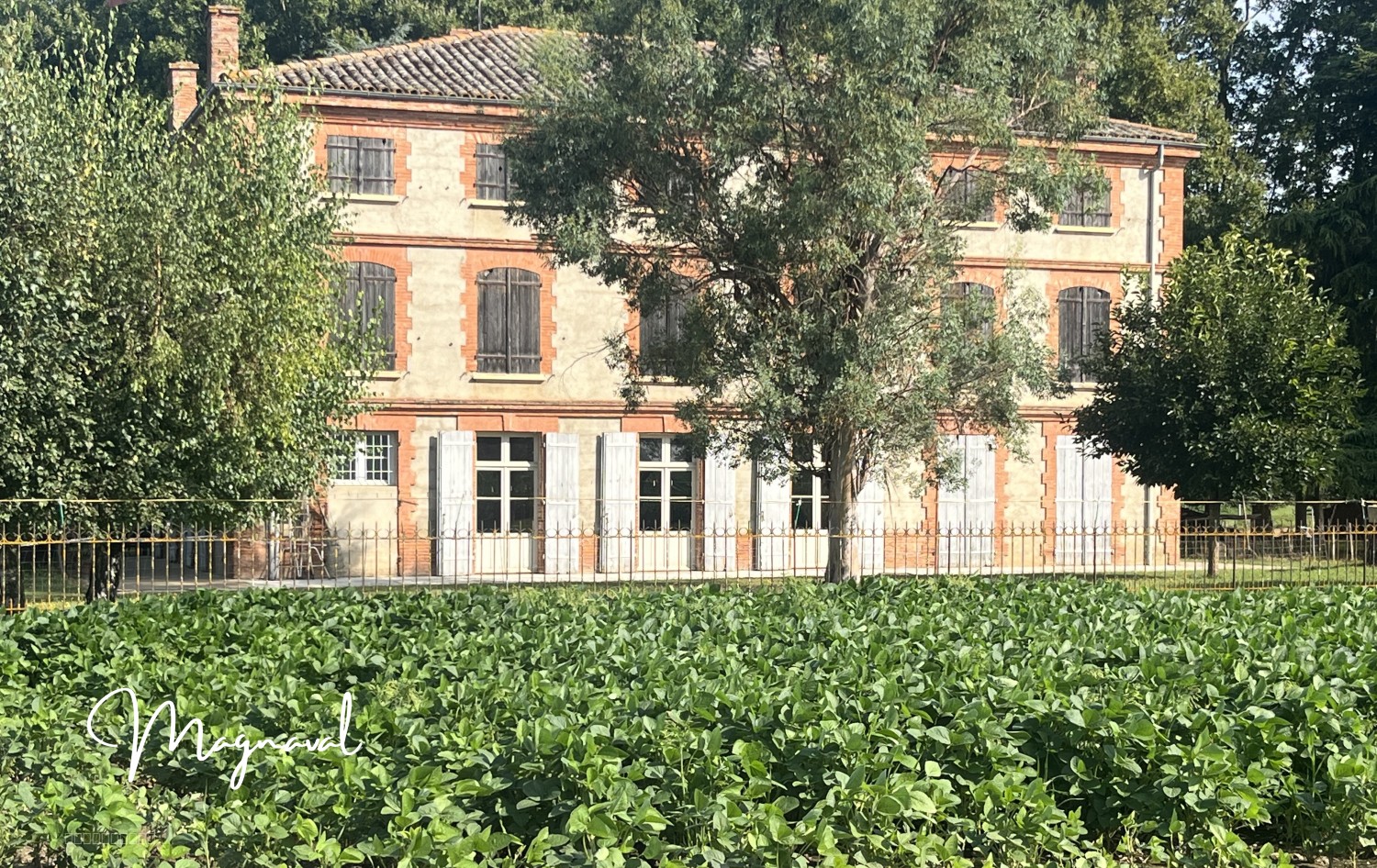 Maison de Maître du XIXo siècle, avec métairie,  parc et jardin sur 2,37 ha à 16 minutes de Montauban (82) — photo 6