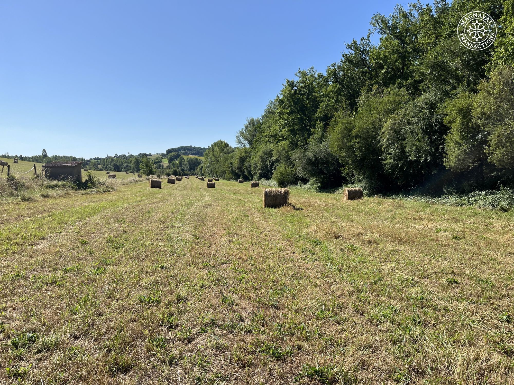 Domaine équestre ou agricole de 30 hectares en Occitanie — photo 12