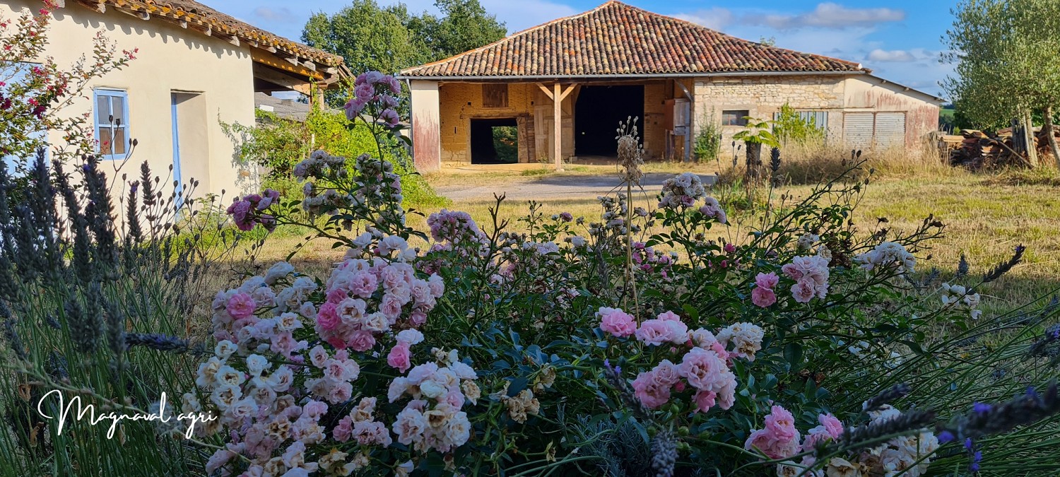 Domaine équestre ou agricole de 30 hectares en Occitanie — photo 5
