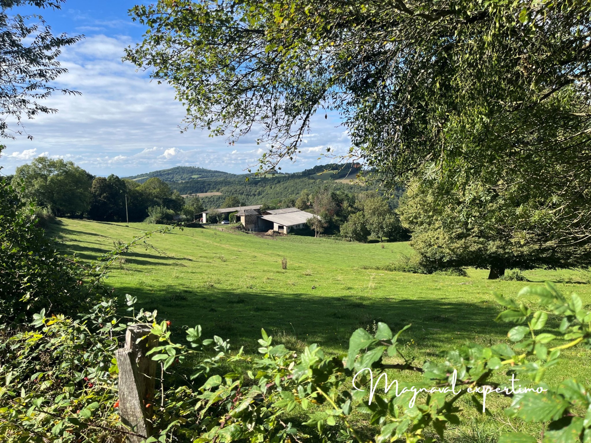 Bien immobilier à vendre à Montredon labessonnie, 158 m², 9 pièces – photo 2 sur 18
