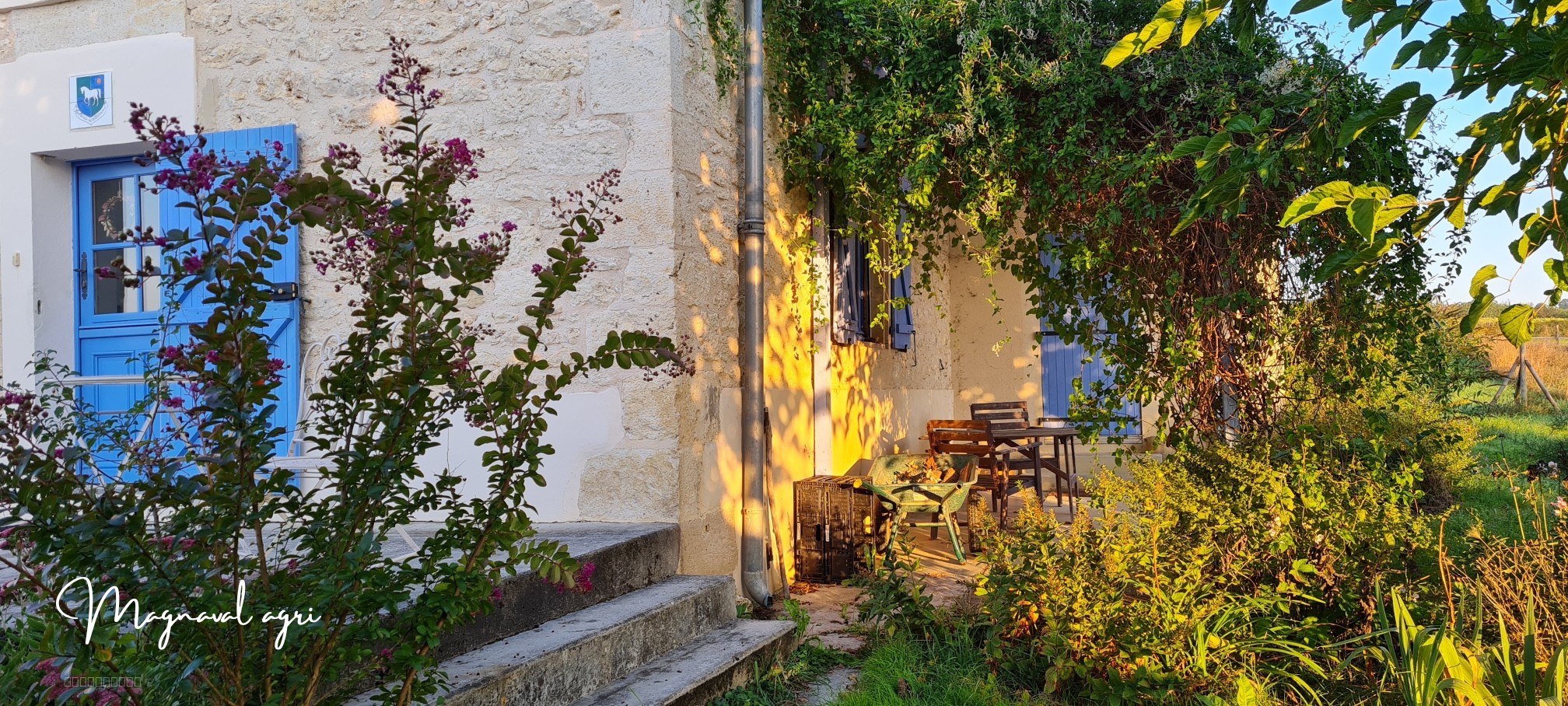 Domaine équestre ou agricole de 30 hectares en Occitanie — photo 4