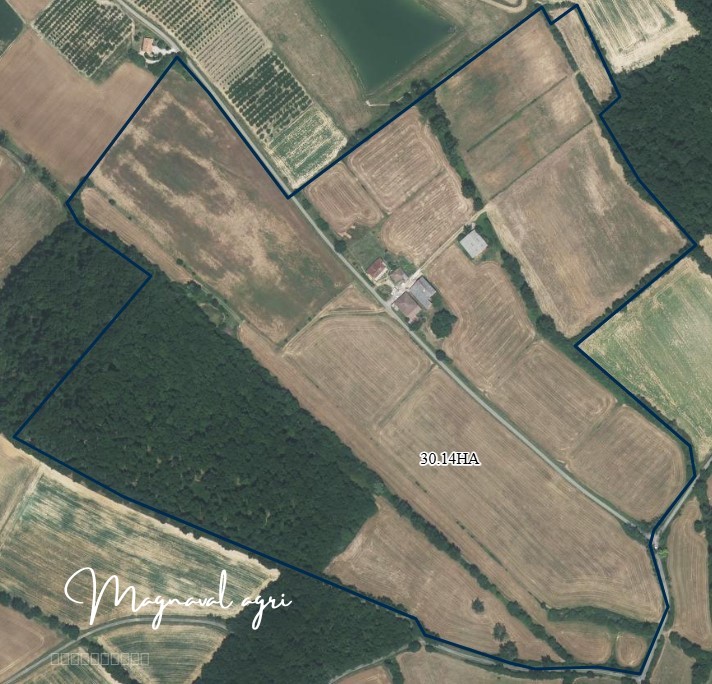 Domaine équestre ou agricole de 30 hectares en Occitanie — photo 14