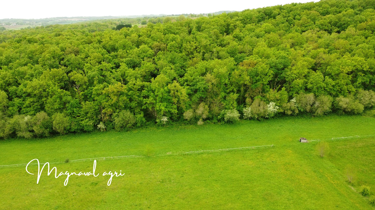 Domaine équestre ou agricole de 30 hectares en Occitanie — photo 13