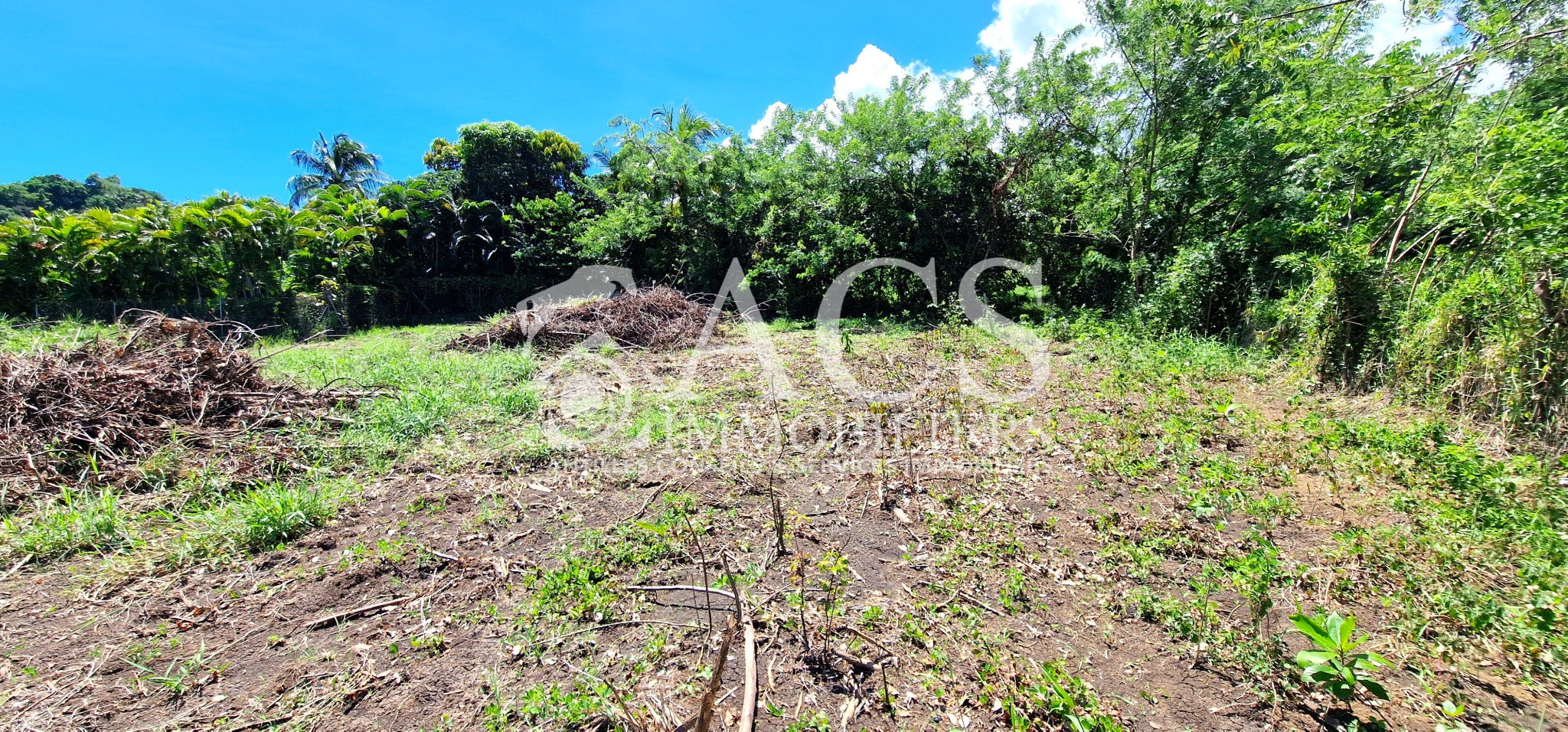 Bien immobilier à vendre à Le vauclin, 1 099 m² – photo 1 sur 3
