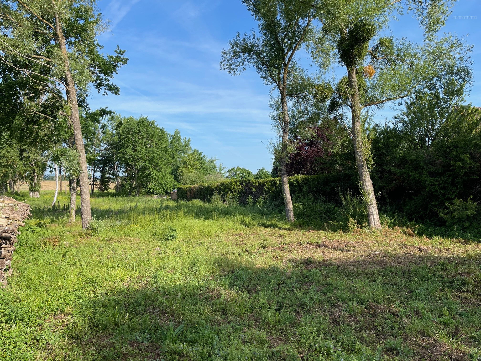 Terrain à vendre à La vendue mignot, 2 994 m² – photo 1 sur 3