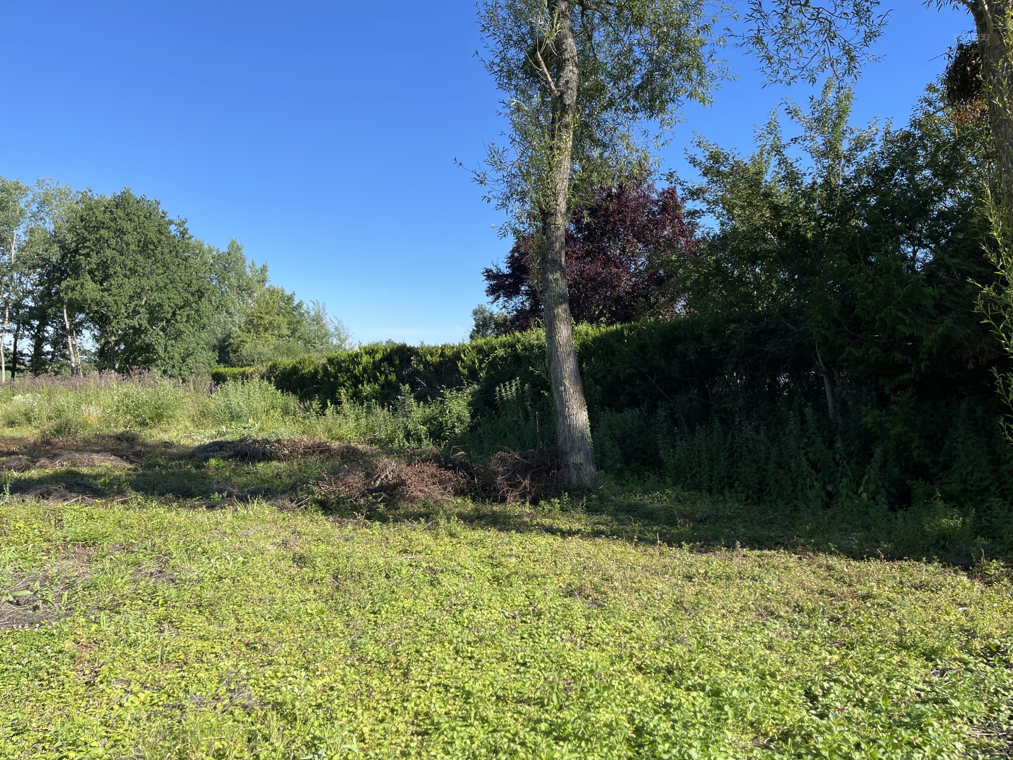 Terrain à vendre à La vendue mignot, 2 994 m² – photo 3 sur 3