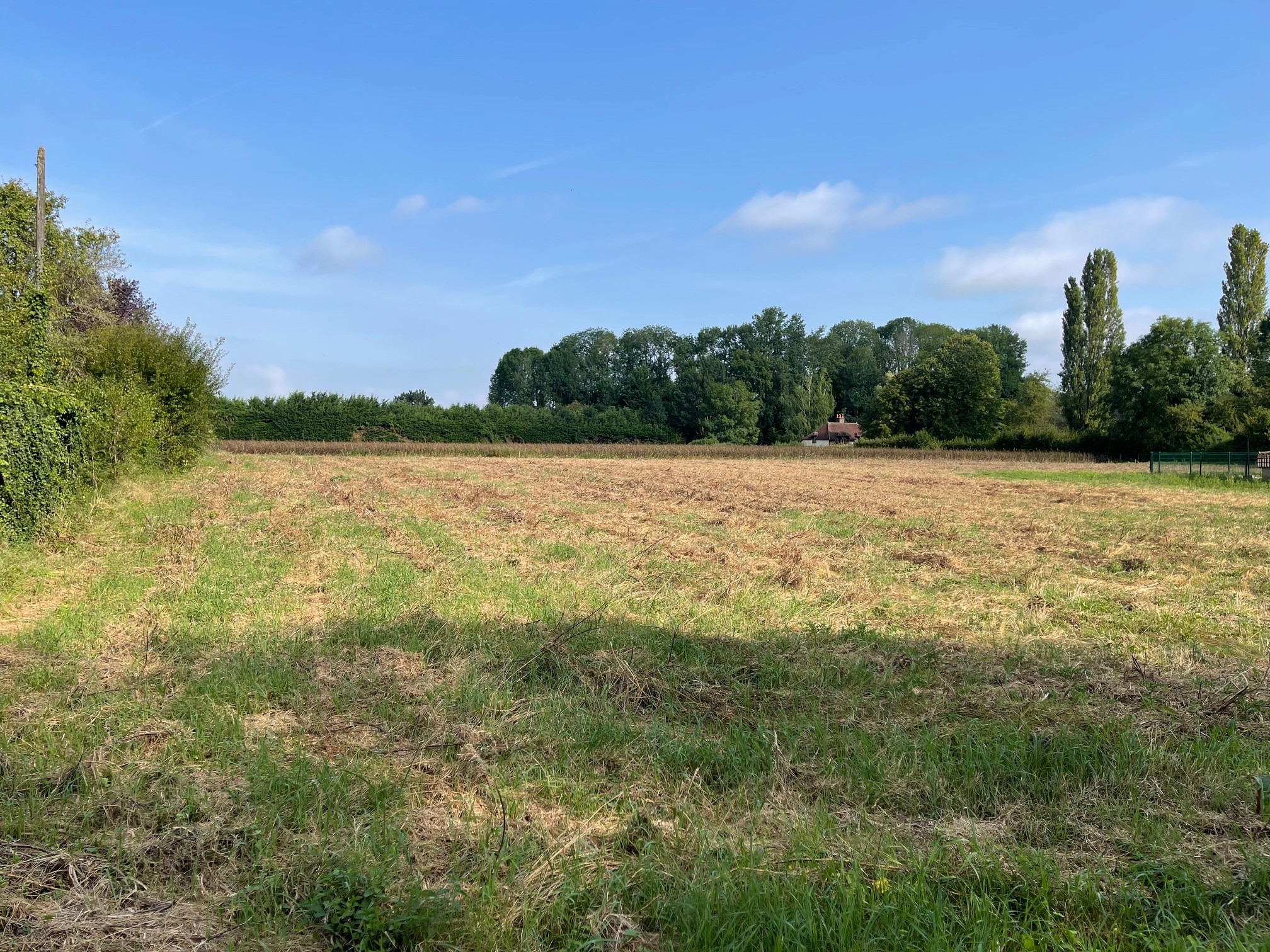 Terrain à vendre à Villemereuil, 1 800 m² – photo 3 sur 5