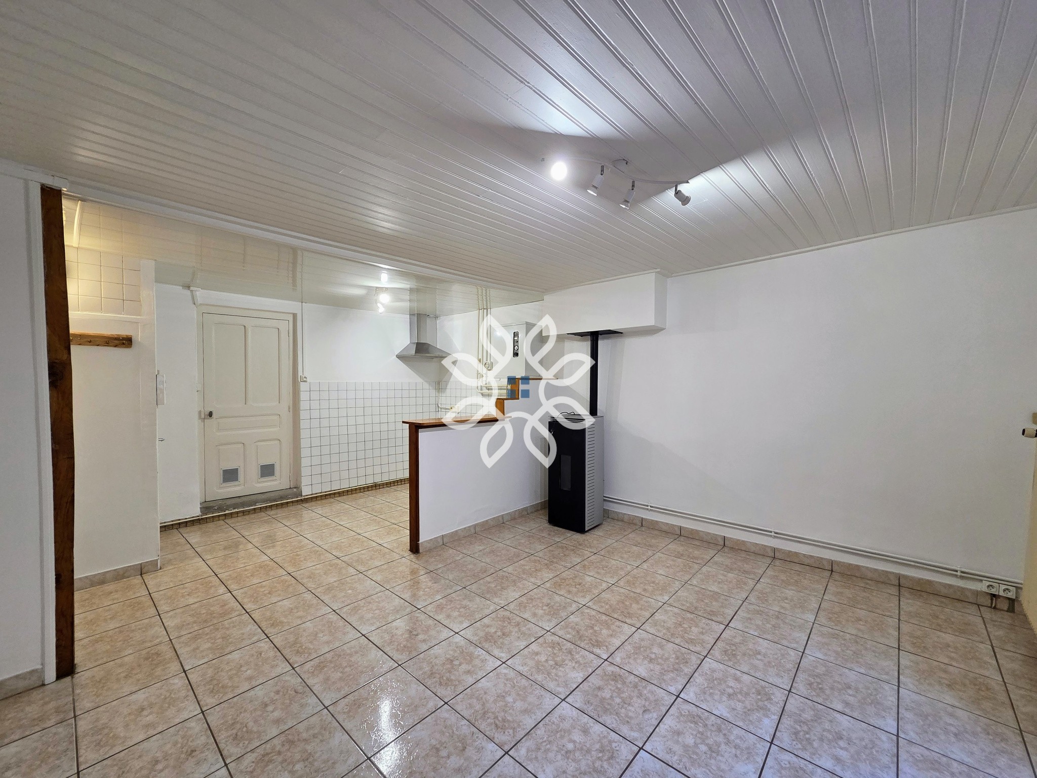 Bien immobilier à vendre à Molompize, 36 m², 7 pièces – photo 1 sur 10