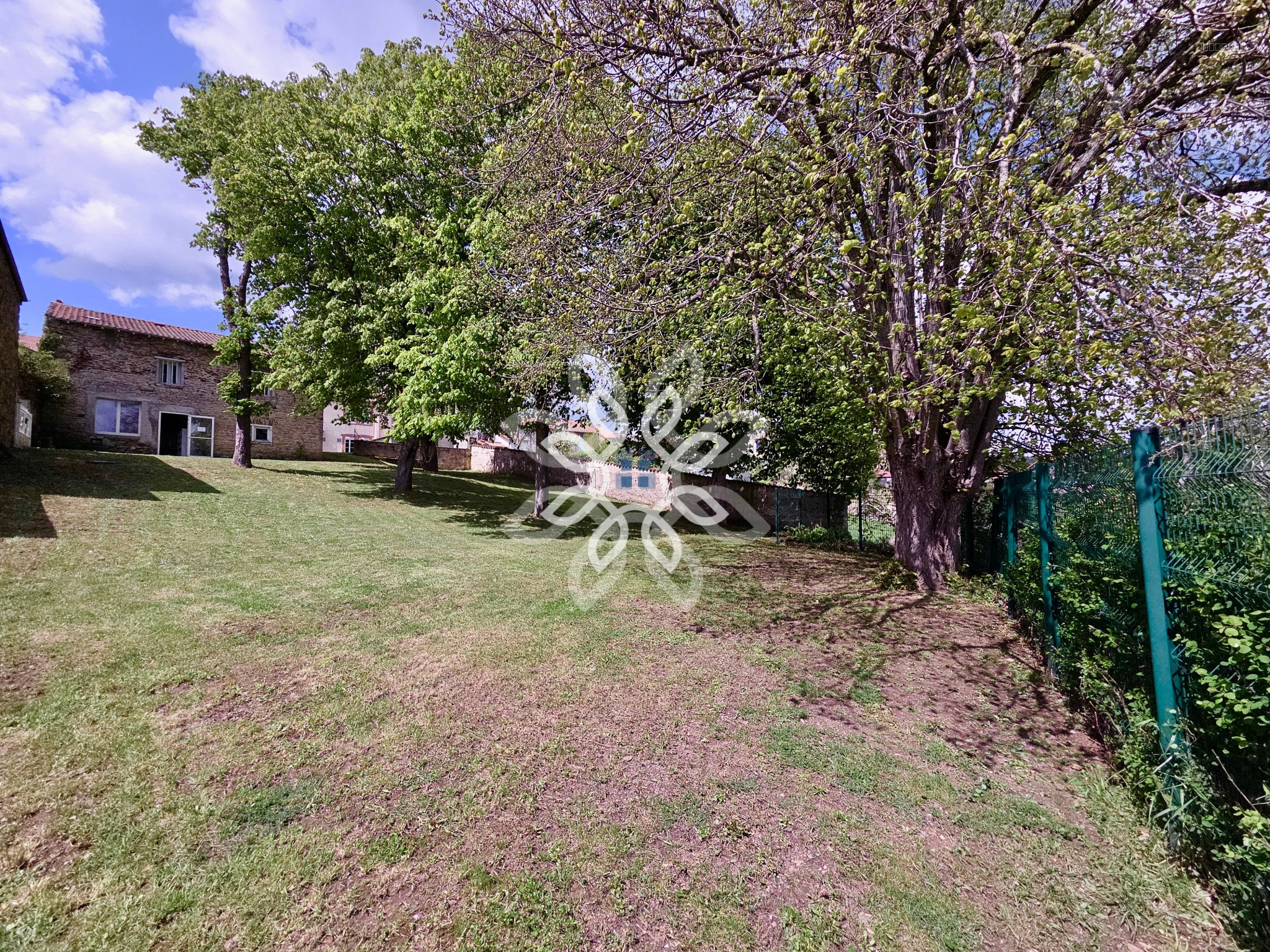 Bien immobilier à vendre à Champagnac le vieux, 500 m², 30 pièces – photo 3 sur 20