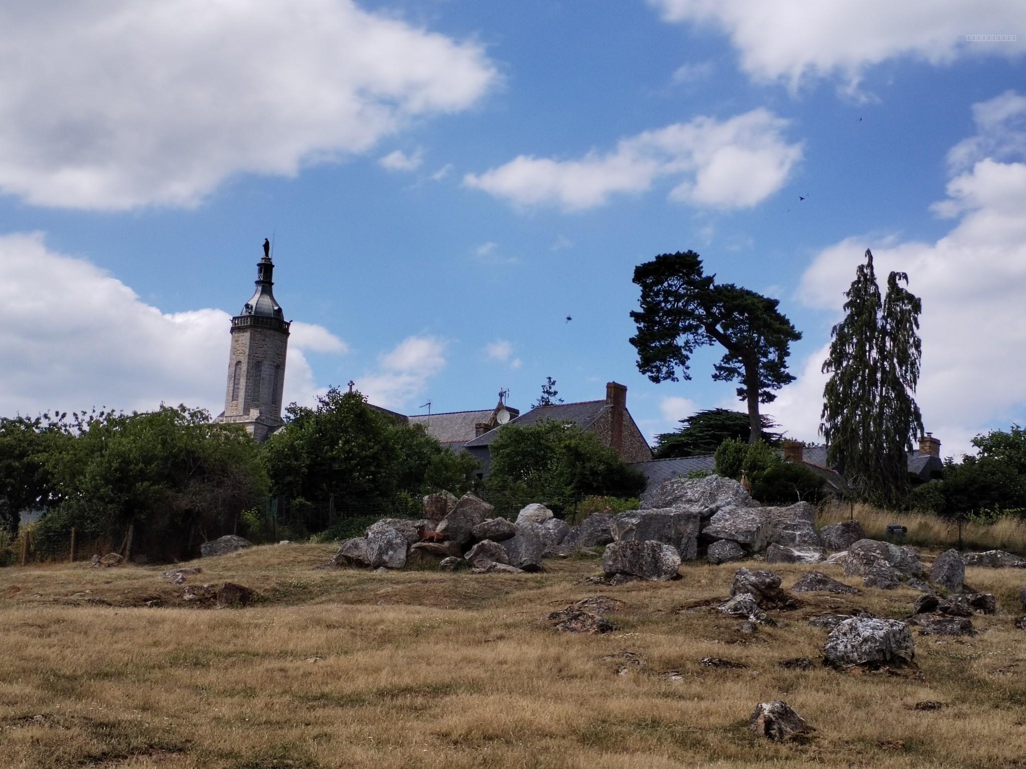 Bien immobilier à vendre à Montautour, 461 m² – photo 3 sur 13