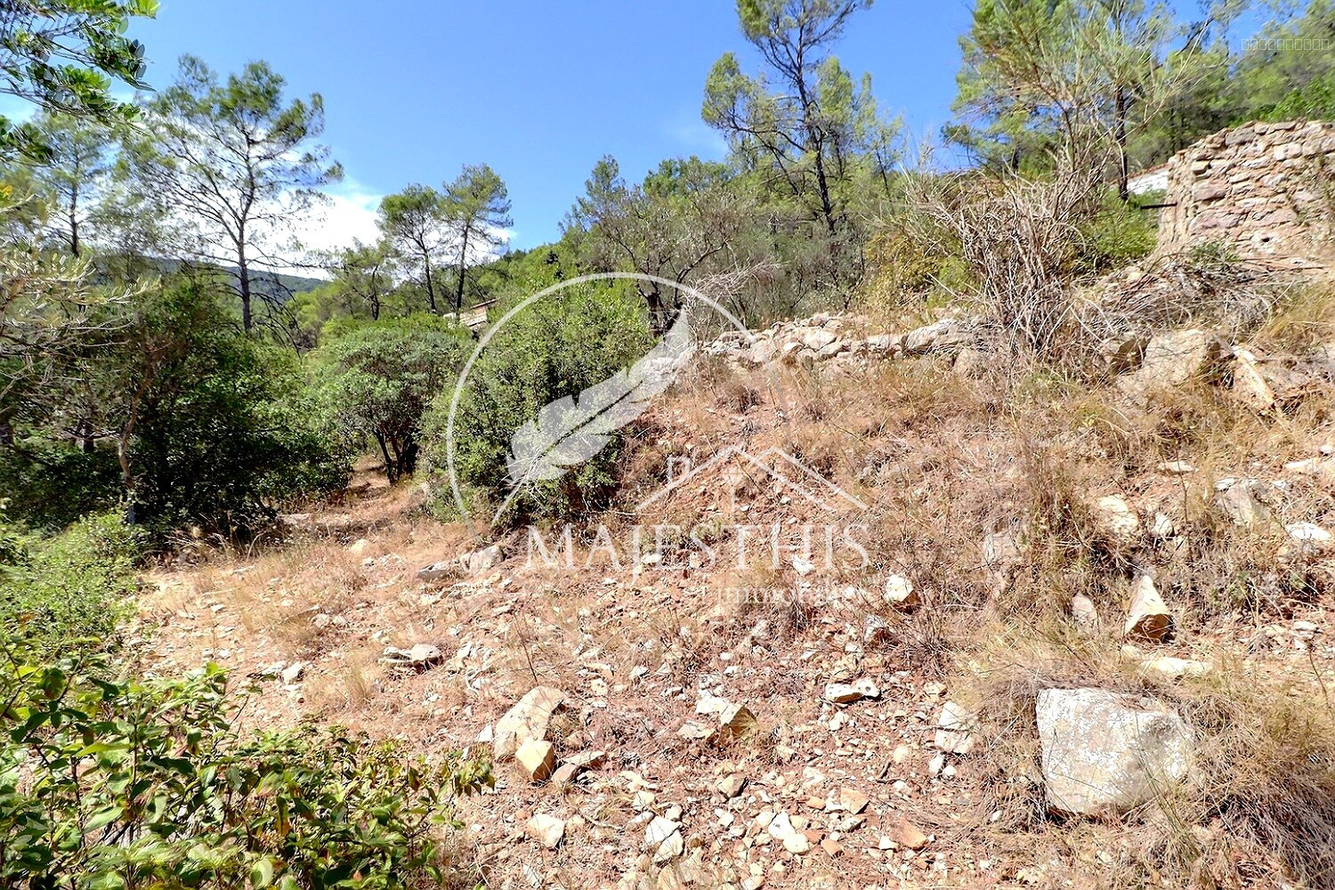 Bien immobilier à vendre à Belgentier, 2 551 m² – photo 3 sur 7