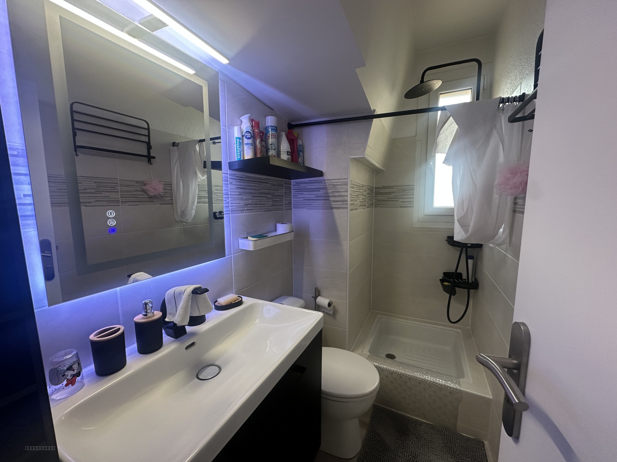 STUDIO CABINE - PARKING - SAINT-CYPRIEN PLAGE SECTEUR PORT — photo 4