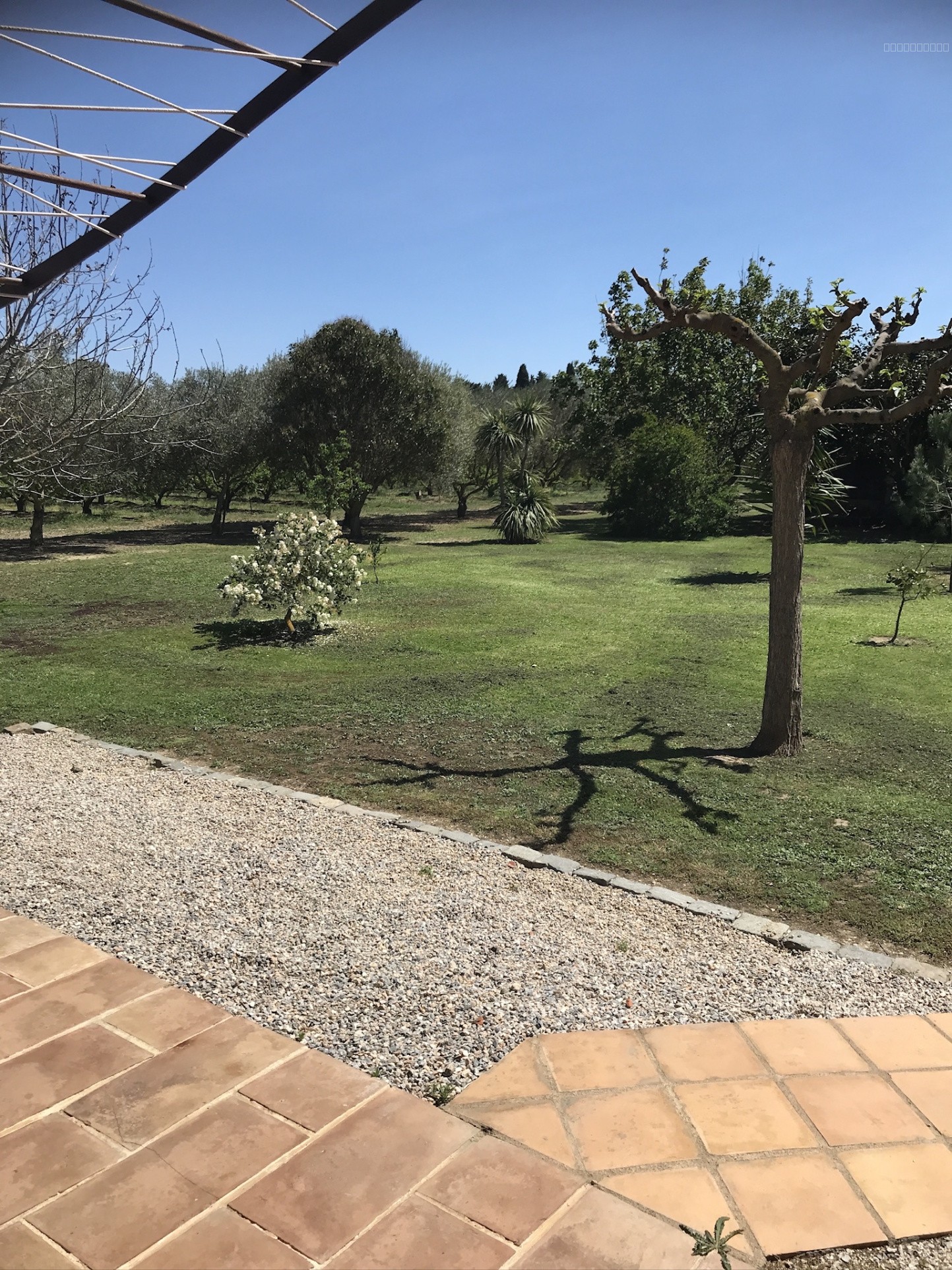 MAS CATALAN - 2 HABITATIONS DISTINCTES - PLAIN-PIED - GARAGE - ARGELES-SUR-MER — photo 15