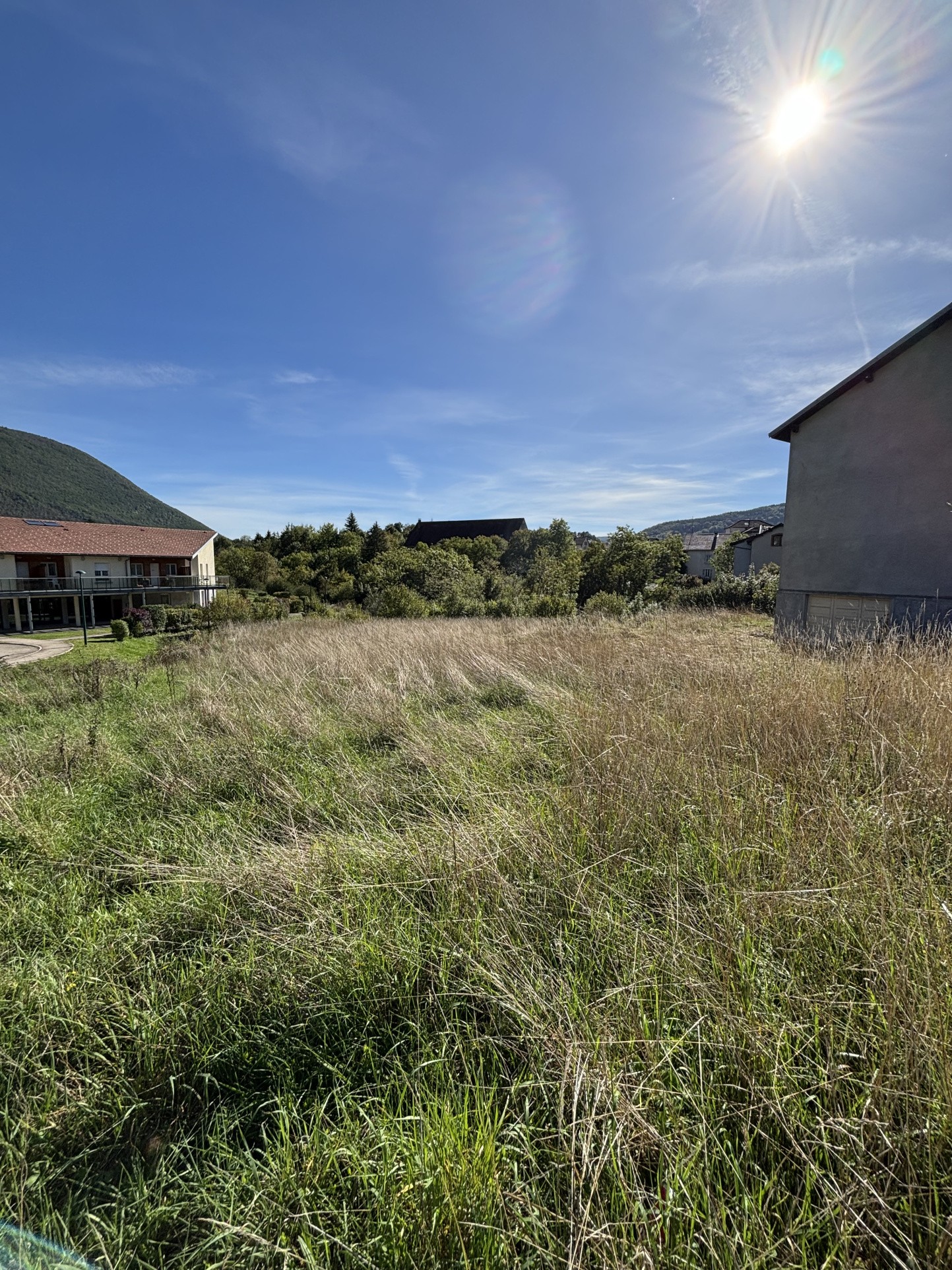 Bien immobilier à vendre à Champfromier, 1 964 m² – photo 2 sur 4
