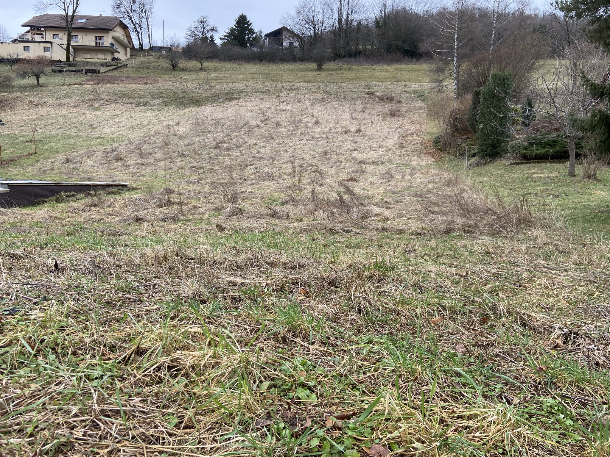 Bien immobilier à vendre à Champfromier, 1 365 m² – photo 2 sur 2