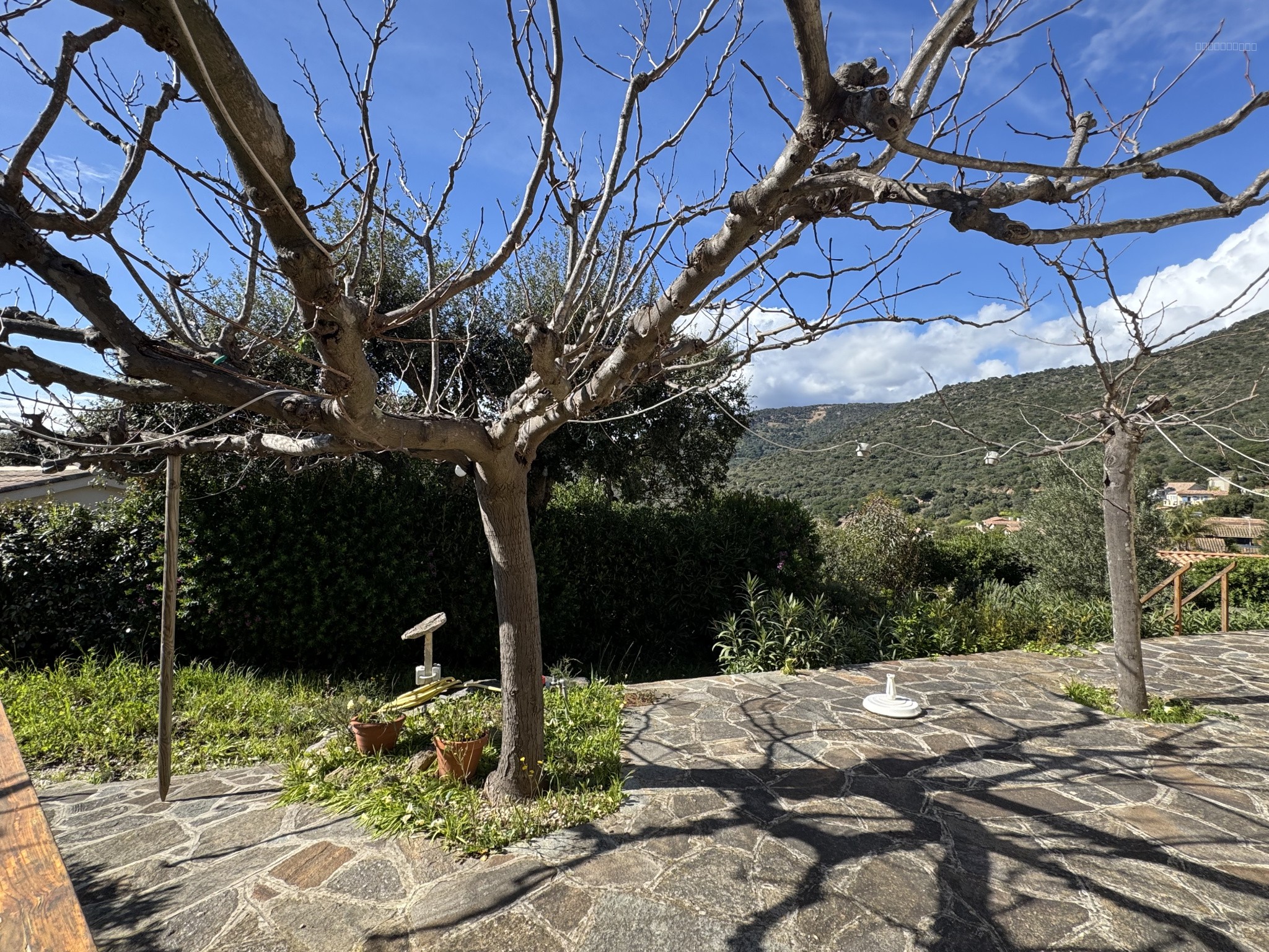 Terrain à vendre à Bormes les mimosas, 246 m² – photo 3 sur 5