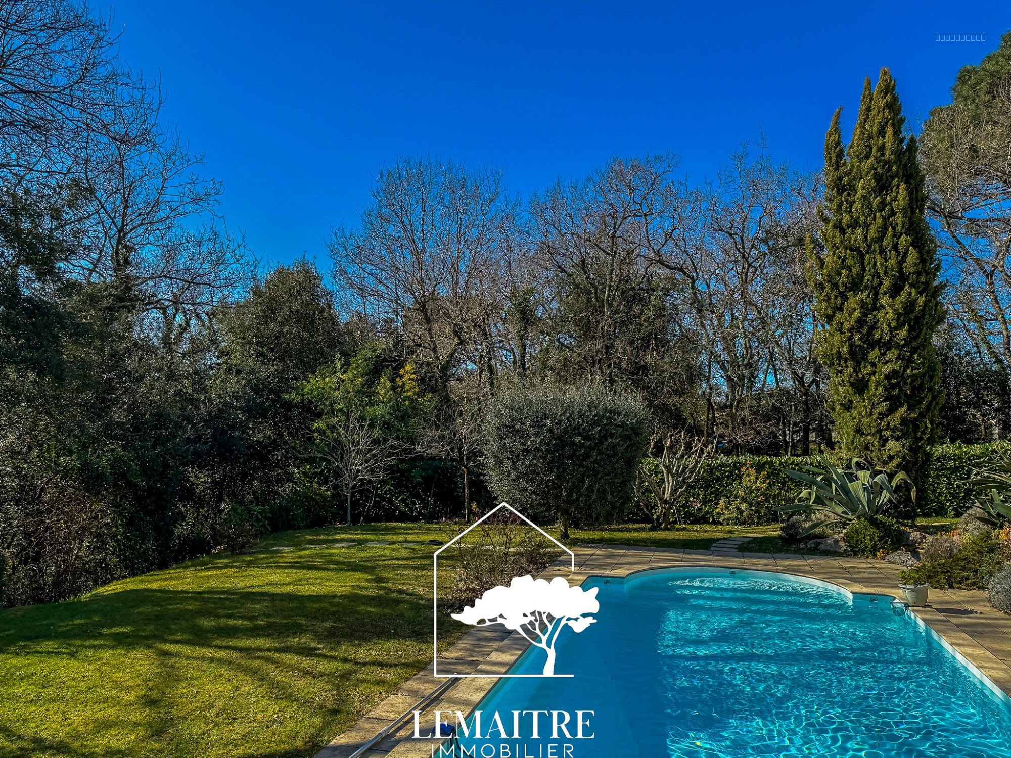 Maison confortable dans un environnement calme et boisé — photo 19