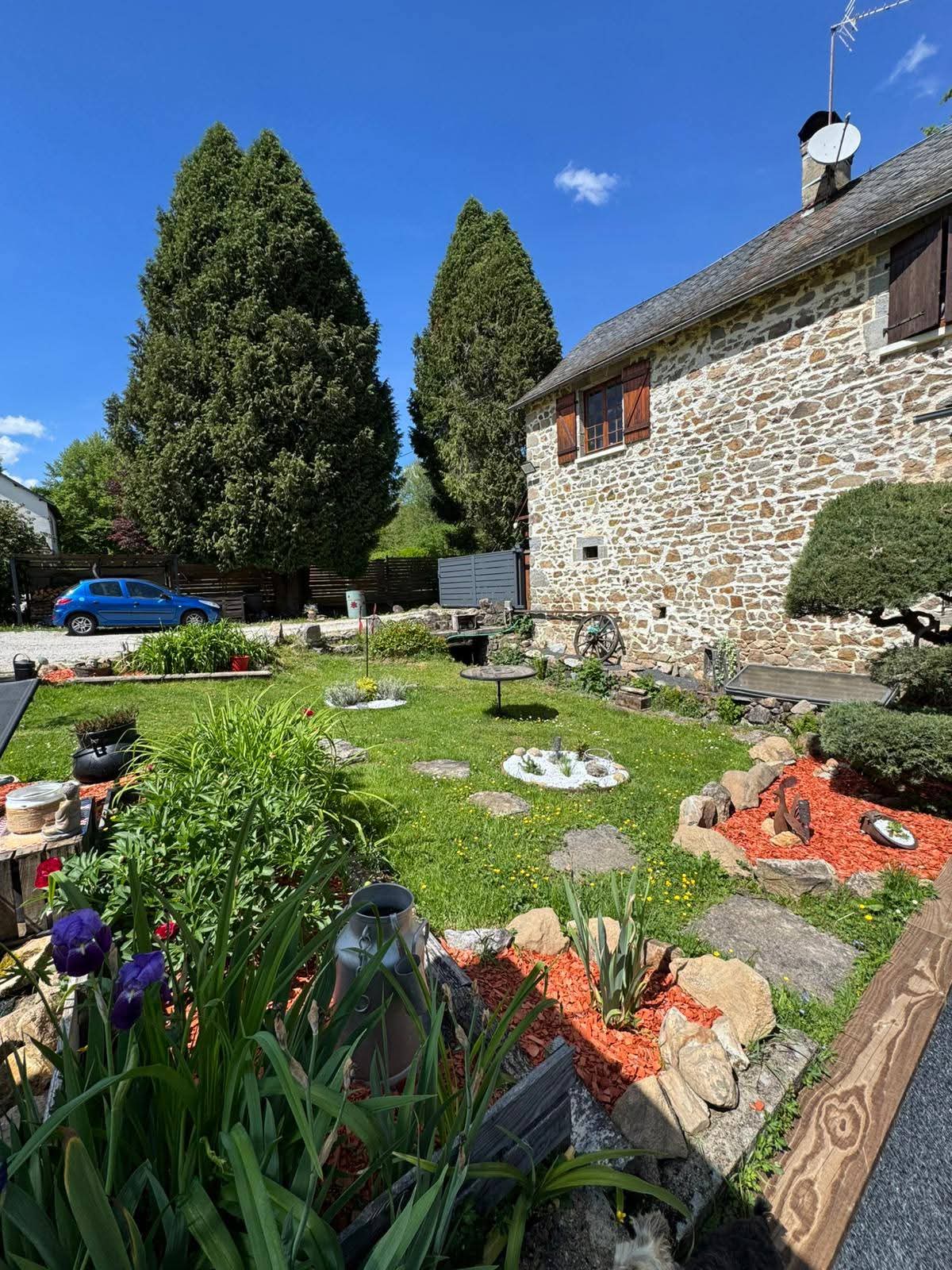 Maison à vendre à Bort-les-Orgues : jardin avec pelouse, fleurs et grands arbres conifères